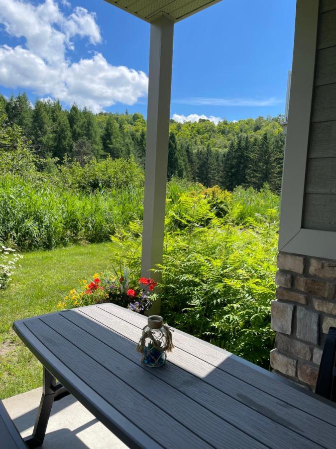 Saint-Sauveur-des-MontsDida公寓 外观 照片